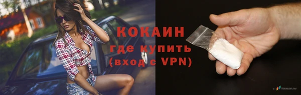 крисы Армянск