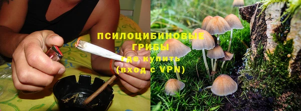 mdpv Арсеньев