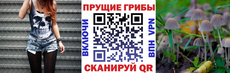 Псилоцибиновые грибы Psilocybe  KRAKEN маркетплейс  Мончегорск 